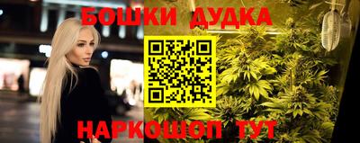 индика Кулебаки