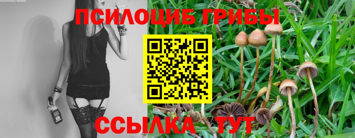 Кисловодск  Псилоцибиновые грибы GOLDEN TEACHER  Вход с VPN 