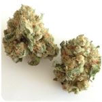 Шишки "White Widow"  (Белая вдова)  Гидропоника -  Бошка VHQ в Кисловодске